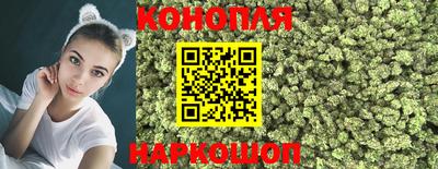 стаф Моздок