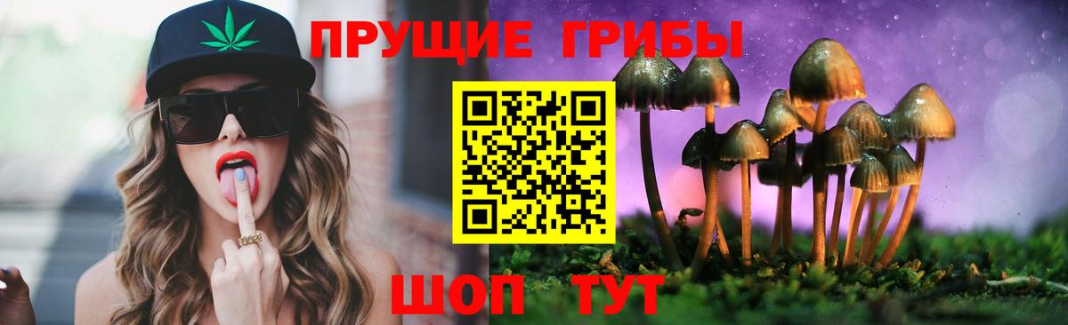 Химки  Псилоцибиновые грибы Magic Shrooms  Вход с VPN 